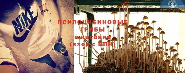 прущая мука Белокуриха